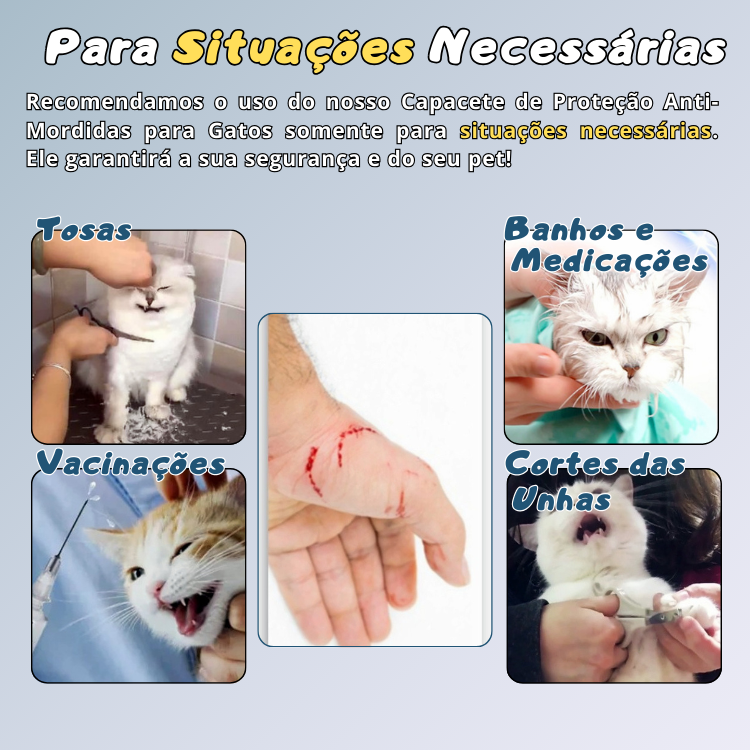 Capacete de Proteção Anti-Mordidas e Unhas para Gatos