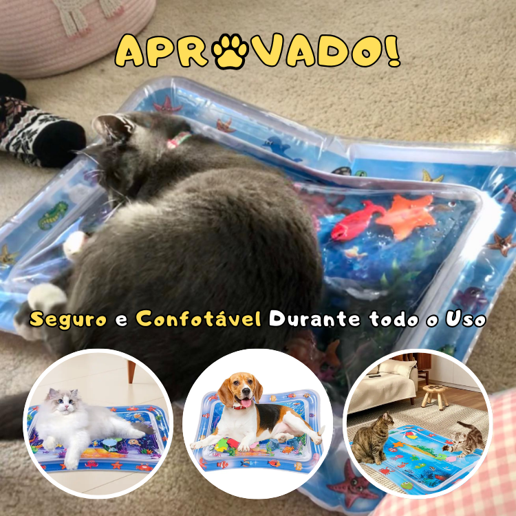 Caminha D'Água para Gatos