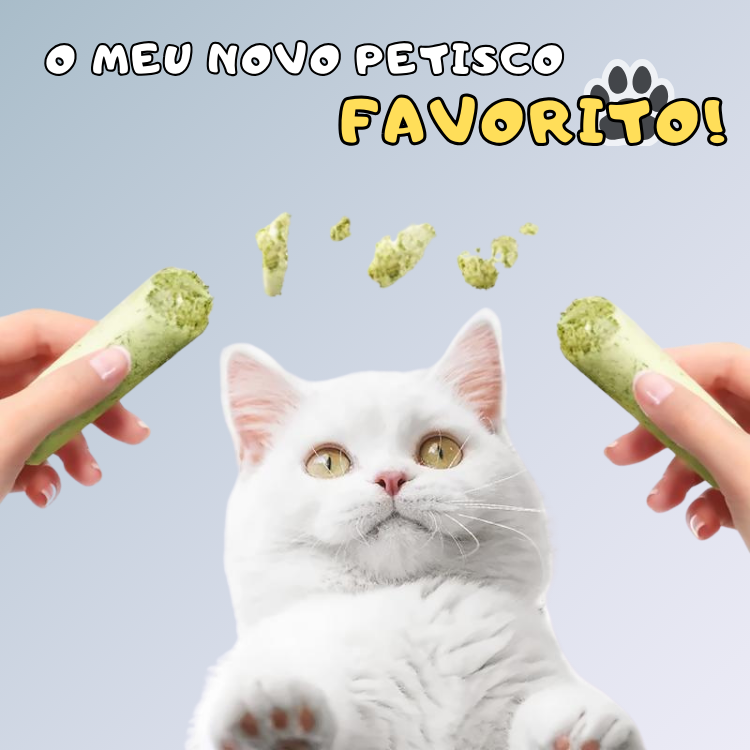 Bastões de Grama Comestíveis para Gatos