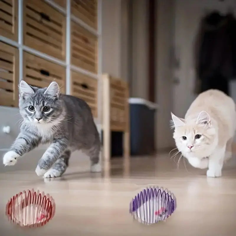 Conjunto Mola Maluca Ratinho para Gatos