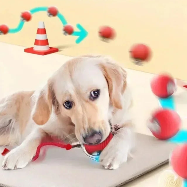 Bola Interativa Recarregável para Pets