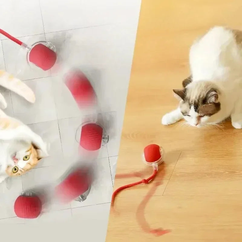Bola Interativa Recarregável para Pets