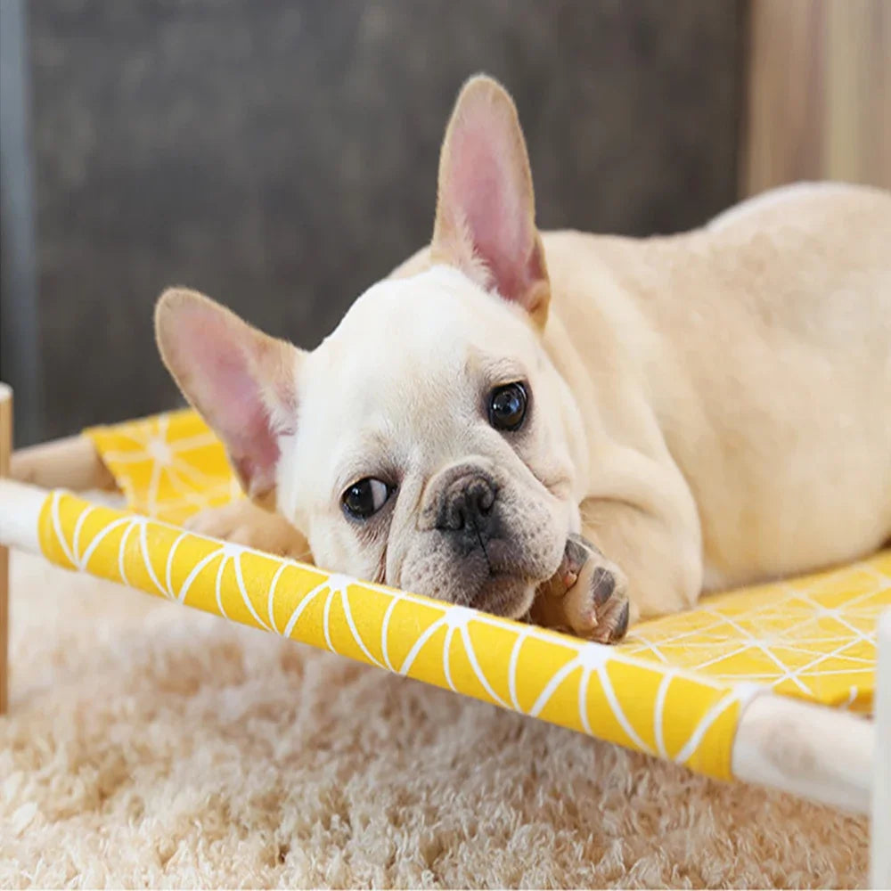 Cama Elevada Refrescante para Pets