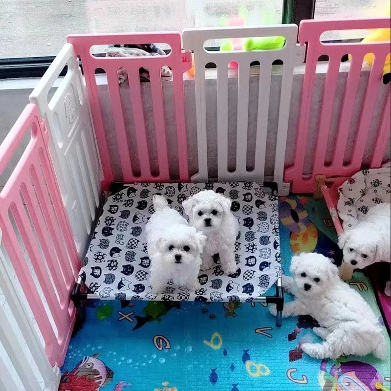 Cama Elevada Metálica para Pets
