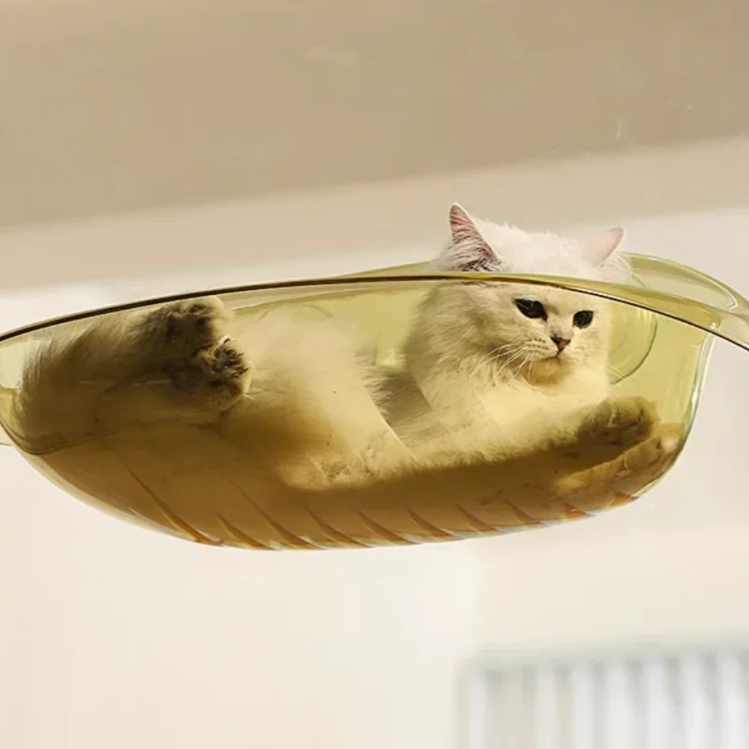 Cama Suspensa com Ventosa para Gatos