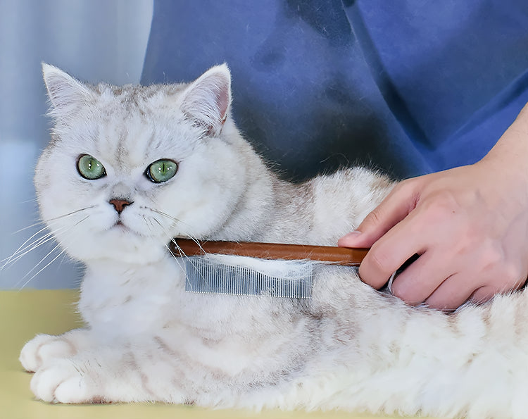Pente de Aço Inoxidável com Alça de Madeira Removedor de Pêlos, Plumas e Piolhos para Gatos