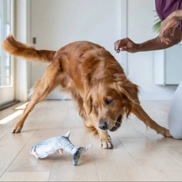 Peixe Interativo para Pets