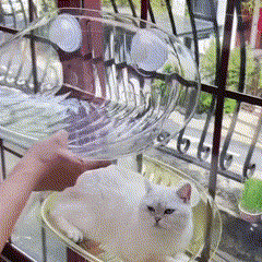Cama Suspensa com Ventosa para Gatos