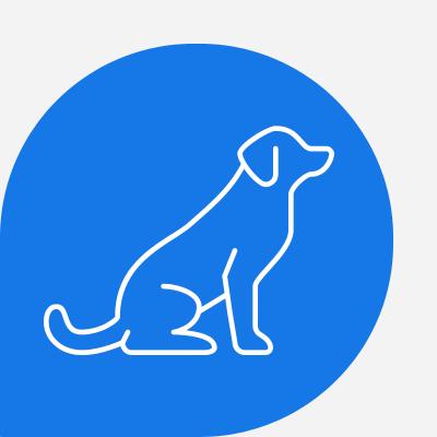Smart Pet Sho: o melhor pet shop do Brasil. Compre agora com frete grátis! 