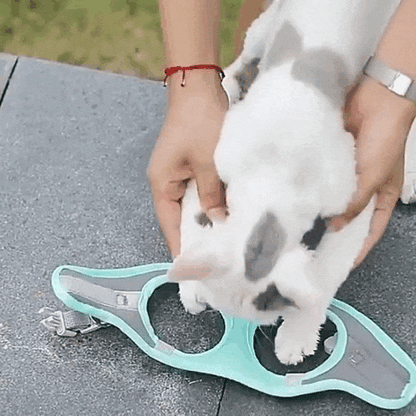 Peitoral Ajustável com Guia para Gatos