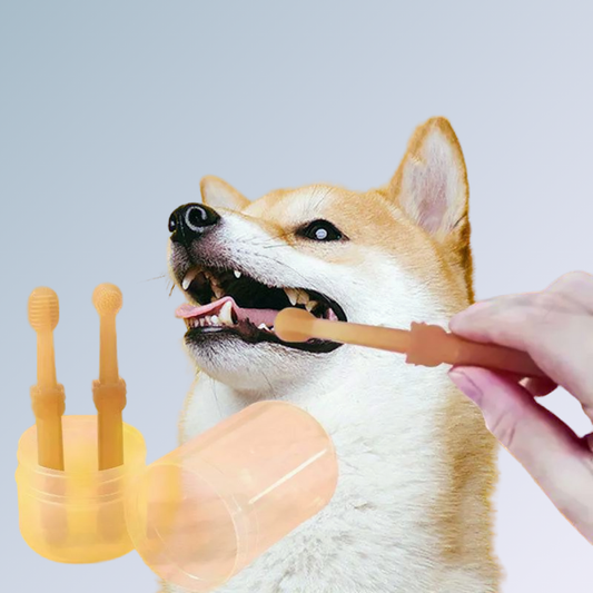 Escova de Dentes Para Cães
