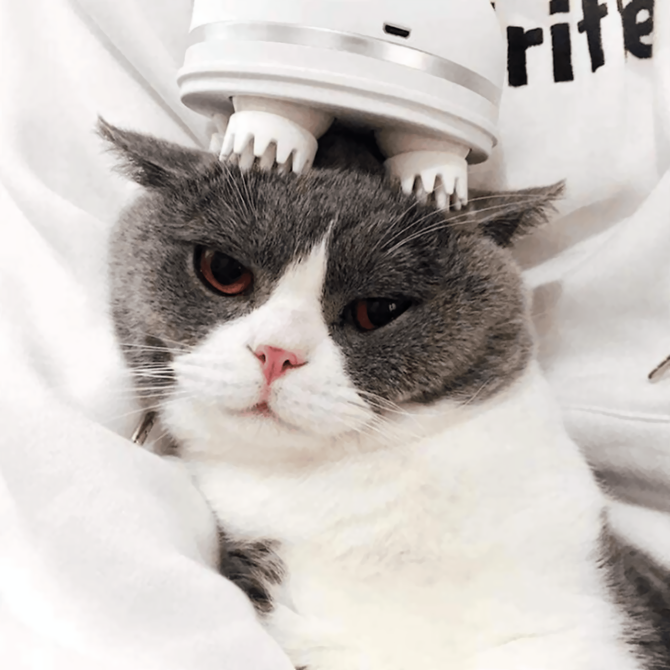 Massageador Elétrico para Gatos