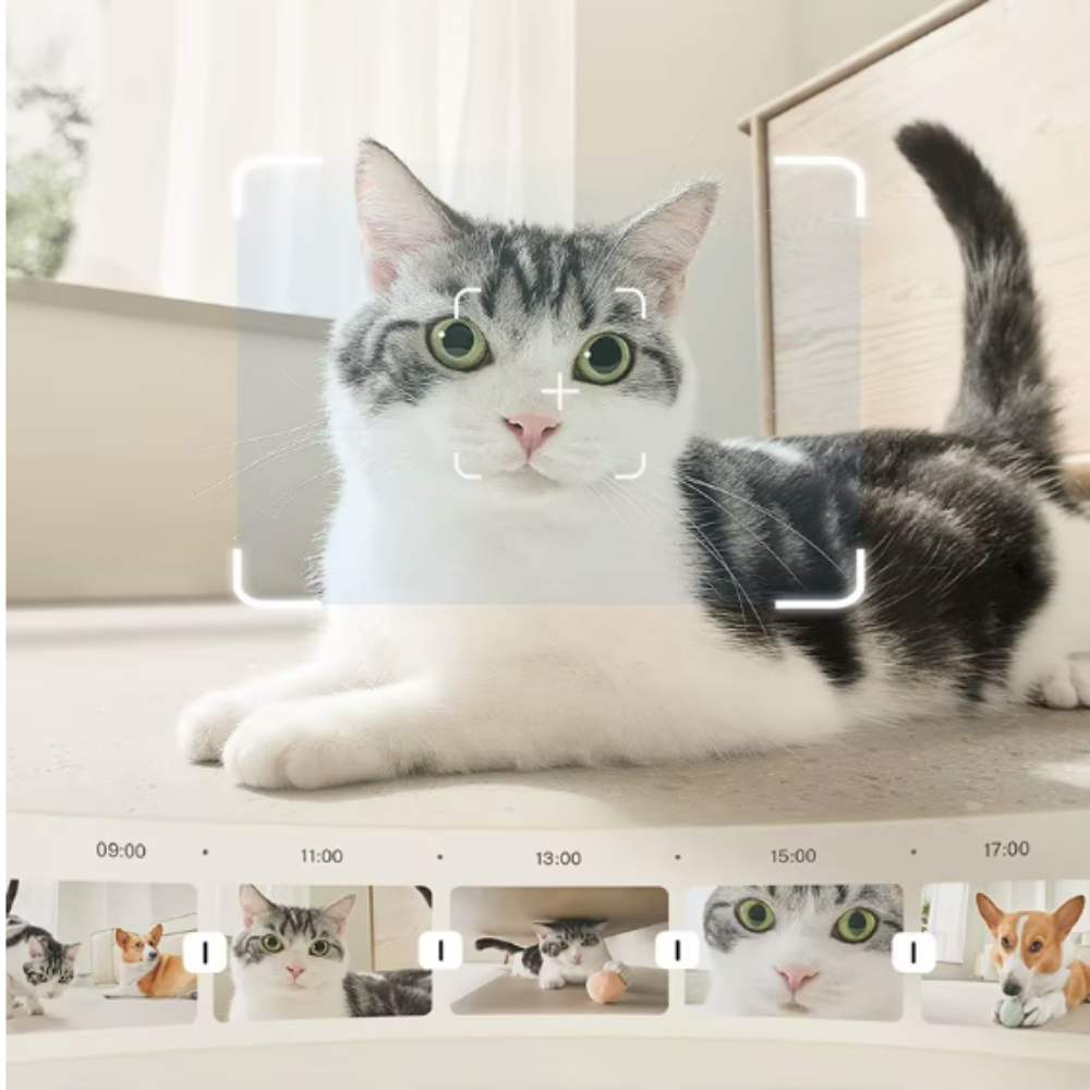 Robô de Monitoramento Pet EBO