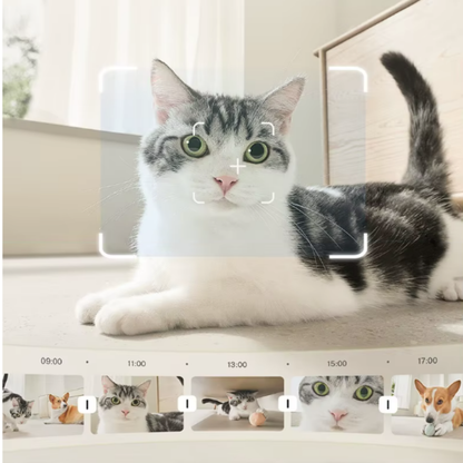 Robô de Monitoramento Pet EBO