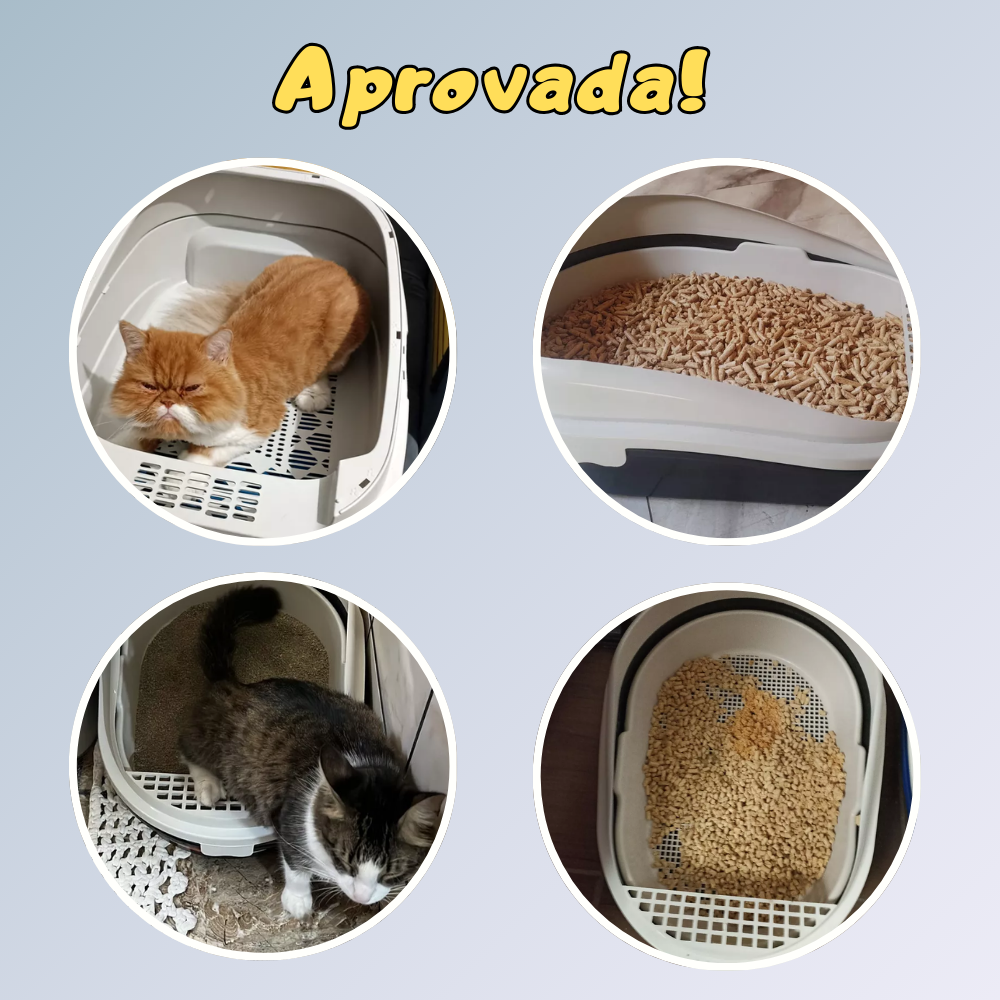 Caixa de Areia Inteligente