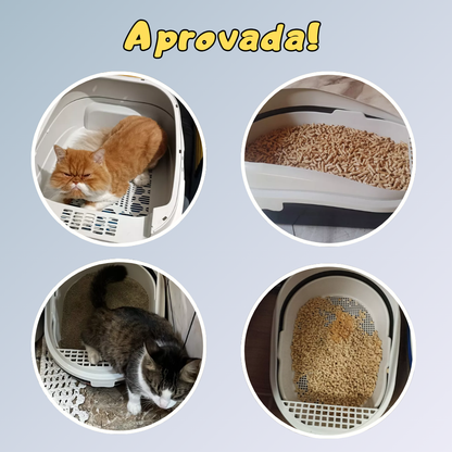 Caixa de Areia Inteligente