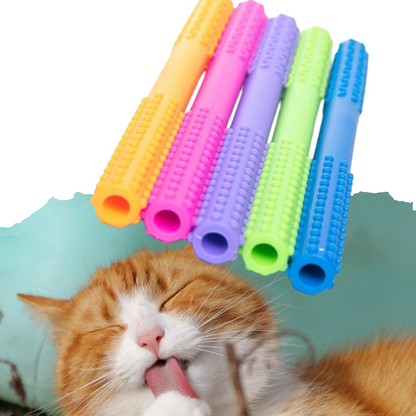 Palito de Escovação Dental para Gstos
