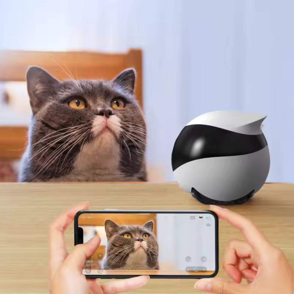 Robô de Monitoramento Pet EBO