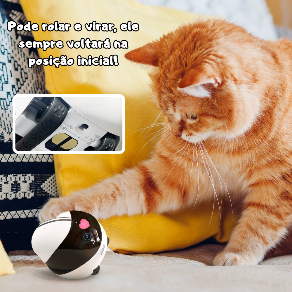 Robô de Monitoramento Pet EBO