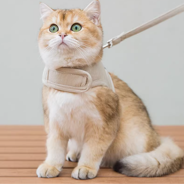 Arnês de Algodão Refletivo para Gatos