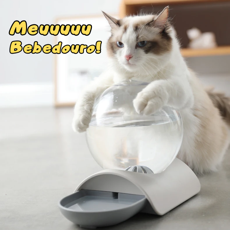Bebedouro Automatico para Gatos Sem Consumo de Energia