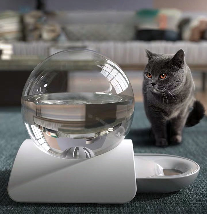 Bebedouro Automatico para Gatos Sem Consumo de Energia