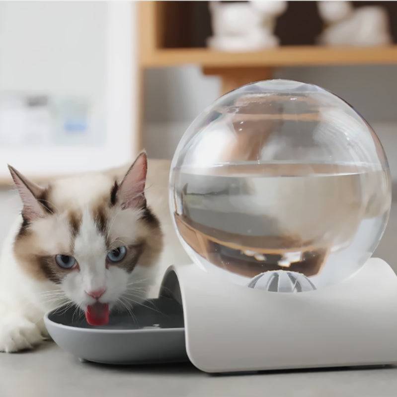 Bebedouro Automático para Gatos Sem Consumo de Energia