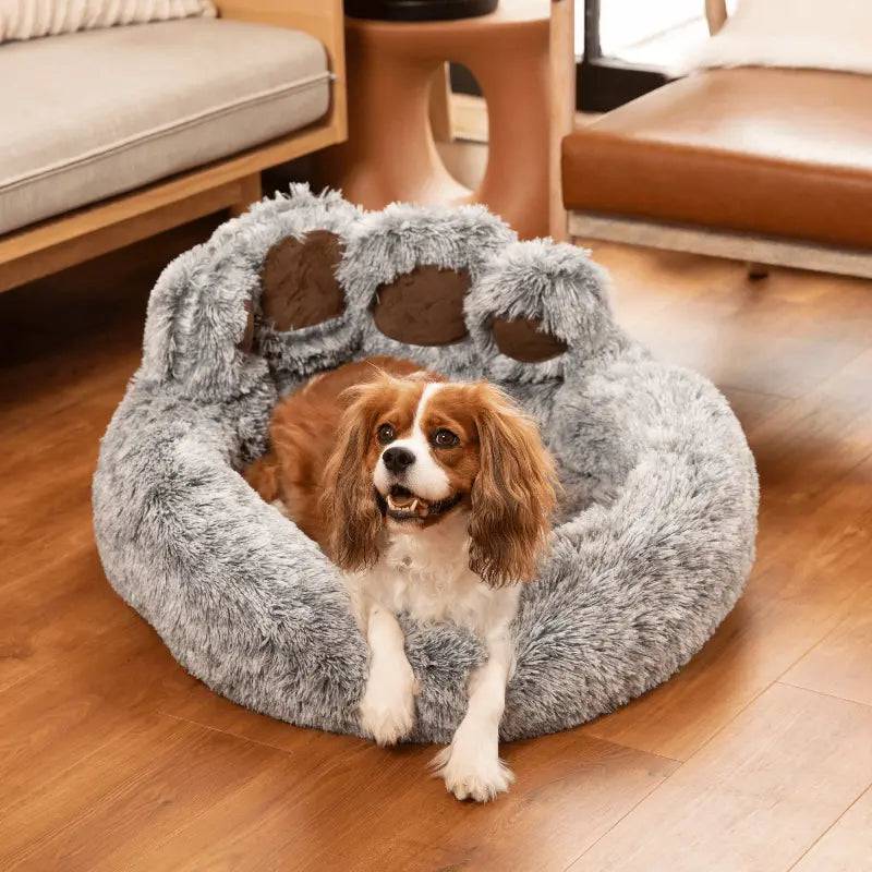 Cama Pata de Urso para Cachorros