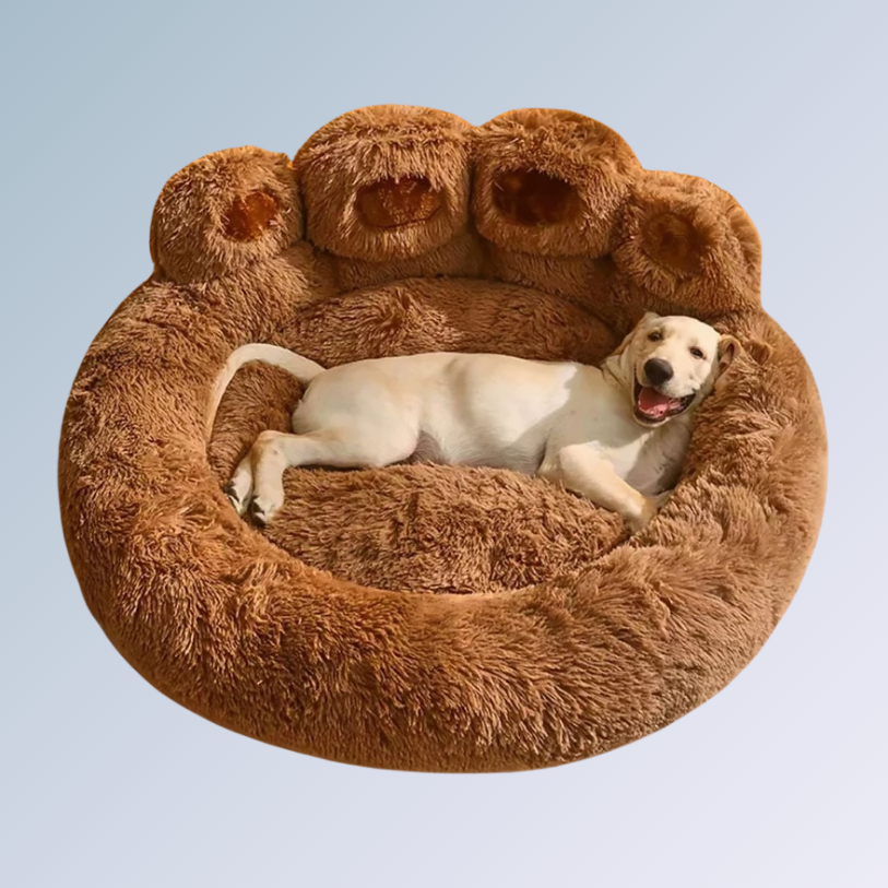 Cama Pata de Urso para Cachorros