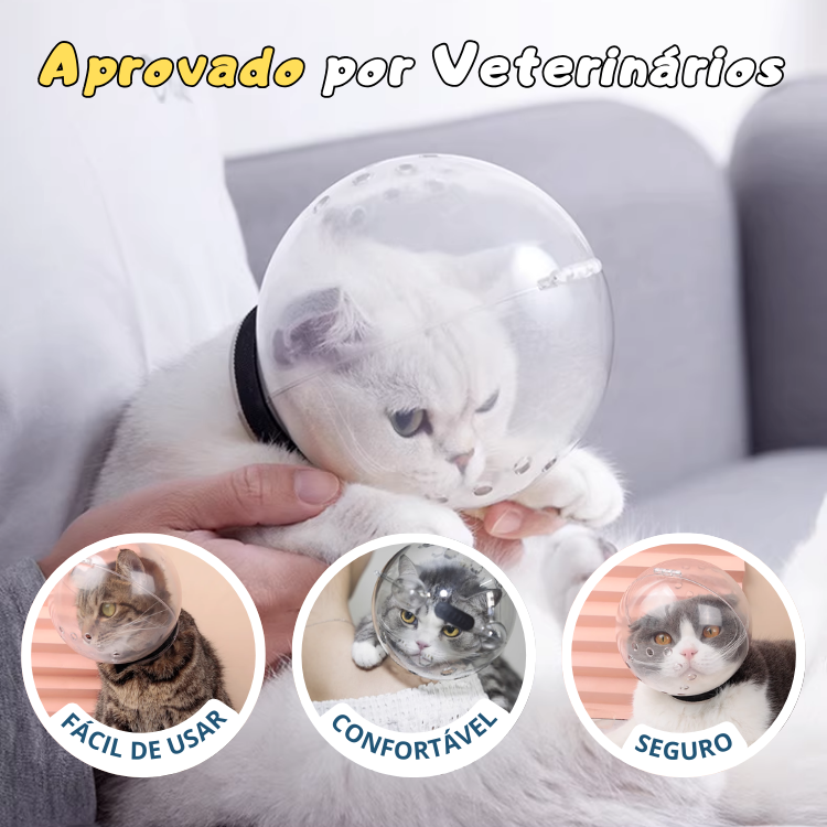Capacete de Proteção Anti-Mordidas e Unhas para Gatos