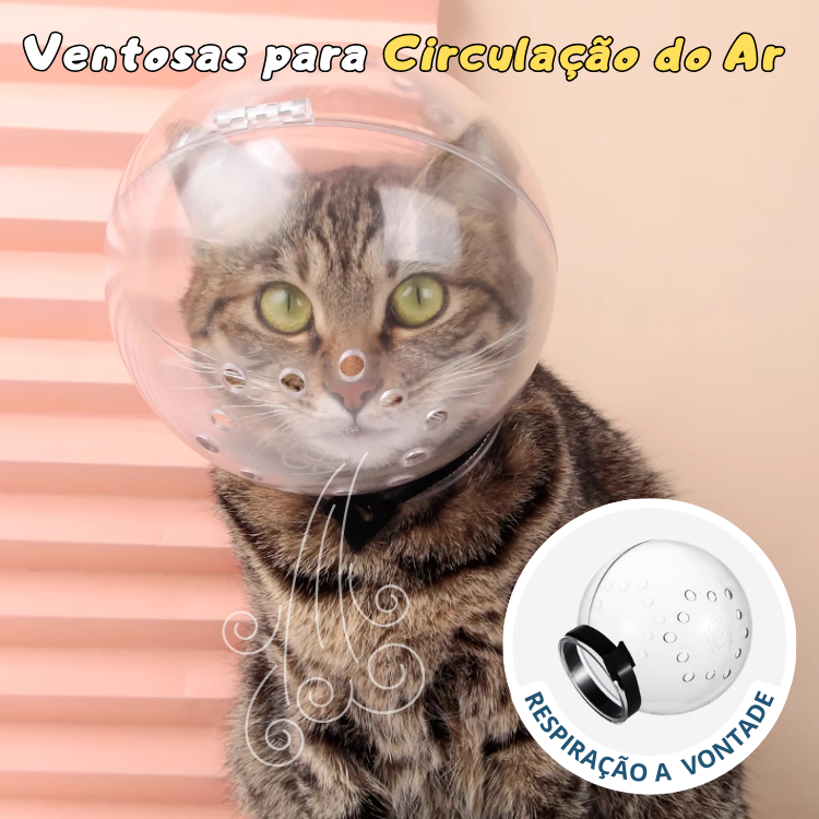 Capacete de Proteção Anti-Mordidas e Unhas para Gatos