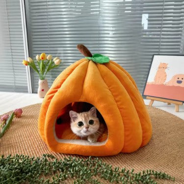 Casa Abóbora para Gatos