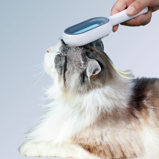 Escova Pegajosa para Gatos