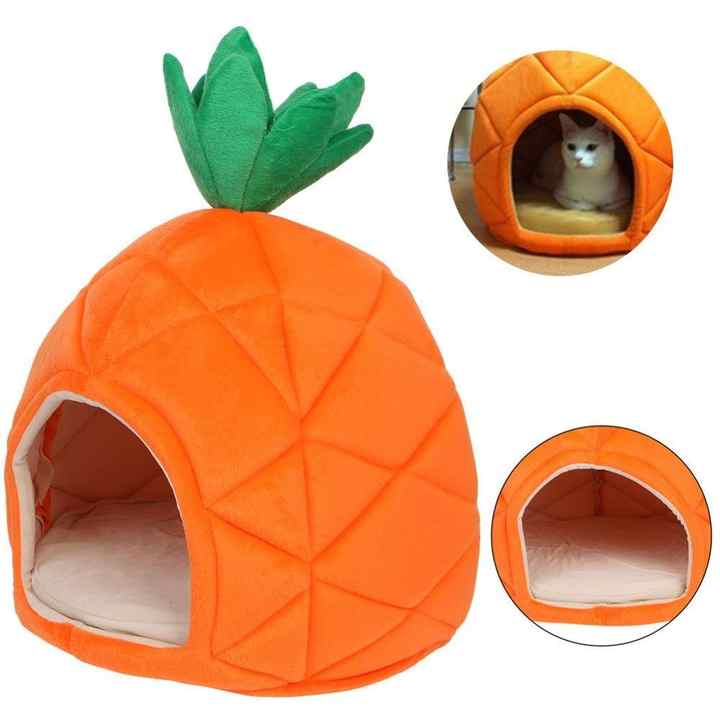 Casa Abacaxi para Gatos