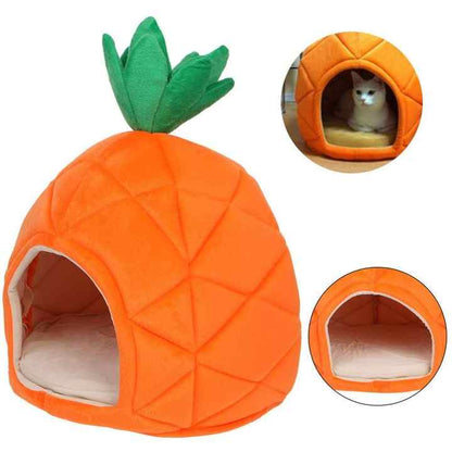 Casa Abacaxi para Gatos