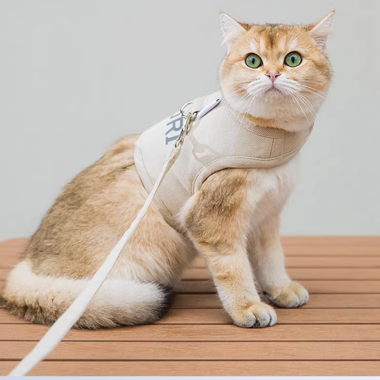 Arnês de Algodão Refletivo para Gatos