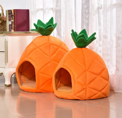 Casa Abacaxi para Gatos