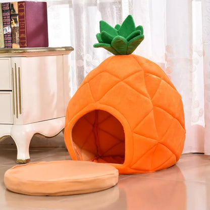 Casa Abacaxi para Gatos
