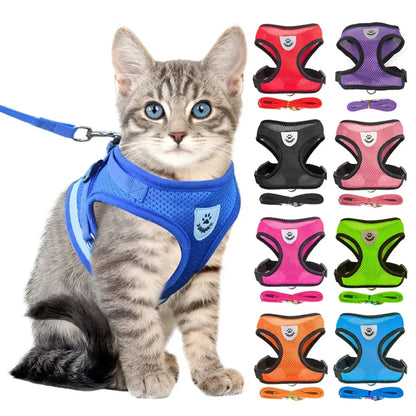 Peitoral Ajustável com Guia para Gatos