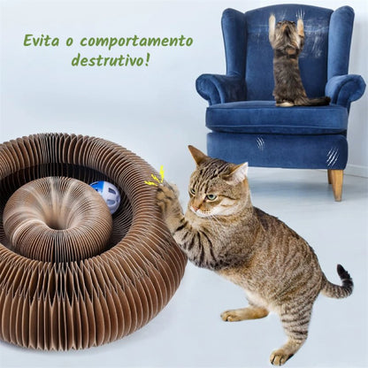 Brinquedo Sanfona para Gatos