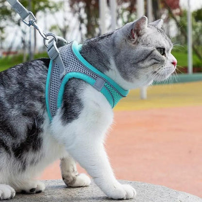 Peitoral Ajustável com Guia para Gatos
