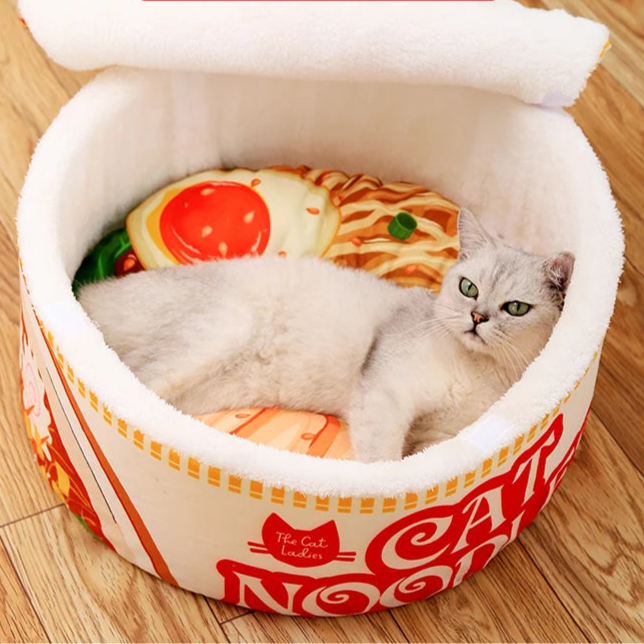 Caminha Ramen para Gatos