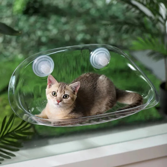 Cama Suspensa com Ventosa para Gatos