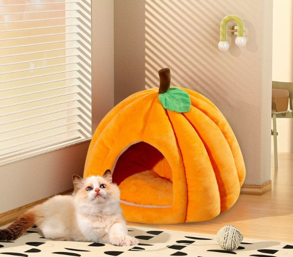 Casa Abóbora para Gatos