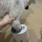 Limpador e Higienizador Automático de Patas para Cães