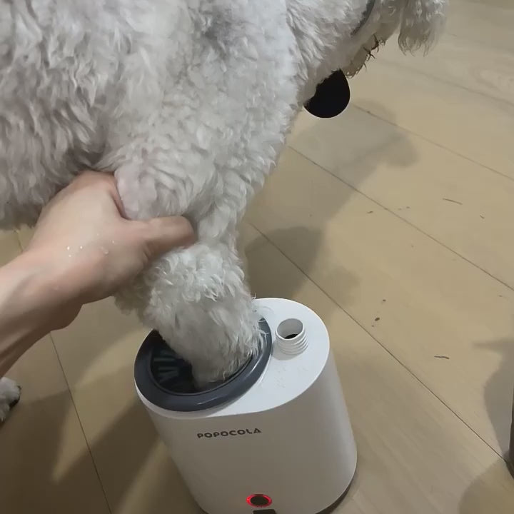 Limpador e Higienizador Automático de Patas para Cães