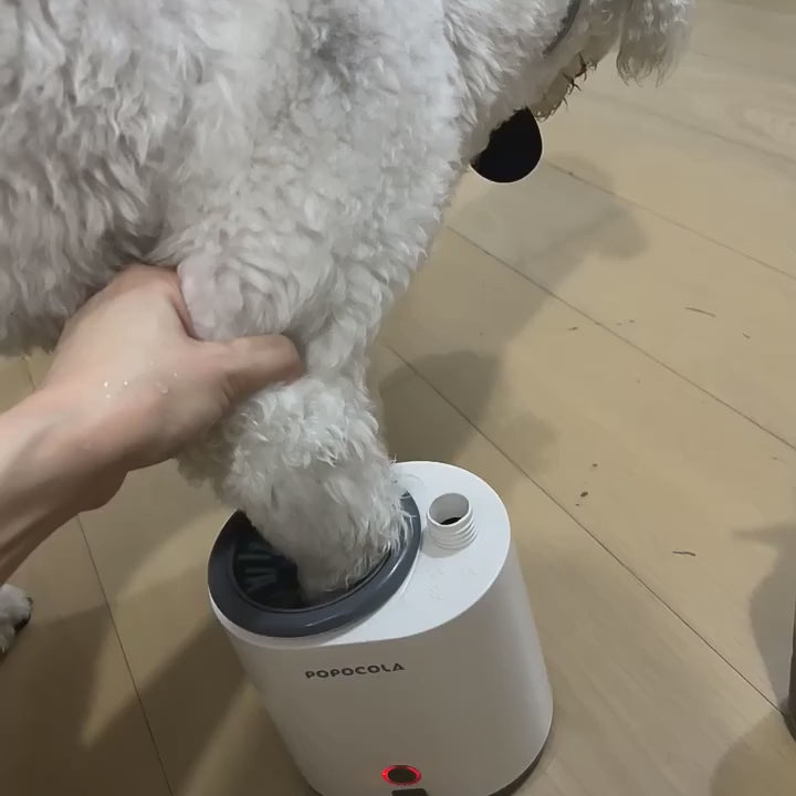 Limpador e Higienizador Automatico de Patas para Caes