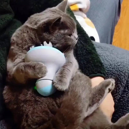 Massageador Elétrico para Gatos Smart Casas