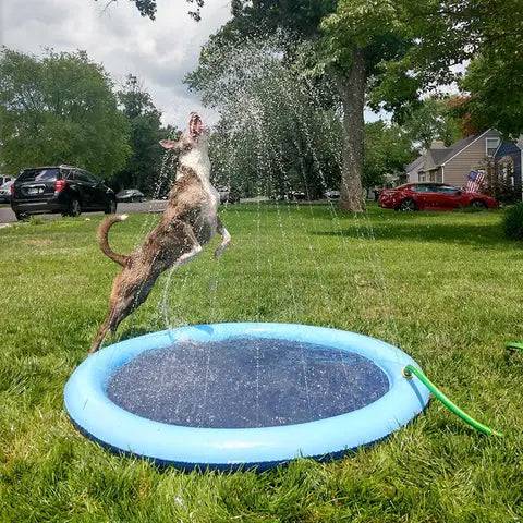 Piscina Refrescante com Fonte para Cães Smart Casas