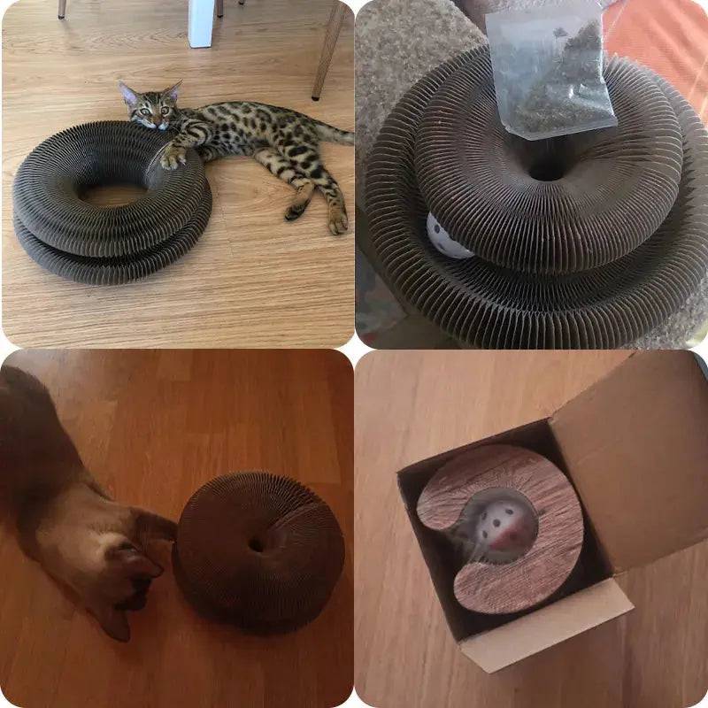 Brinquedo Sanfona para Gatos Smart Casas